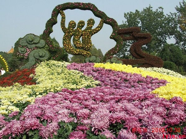 点击浏览下一页