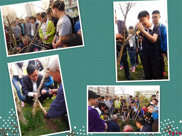 点击浏览下一页