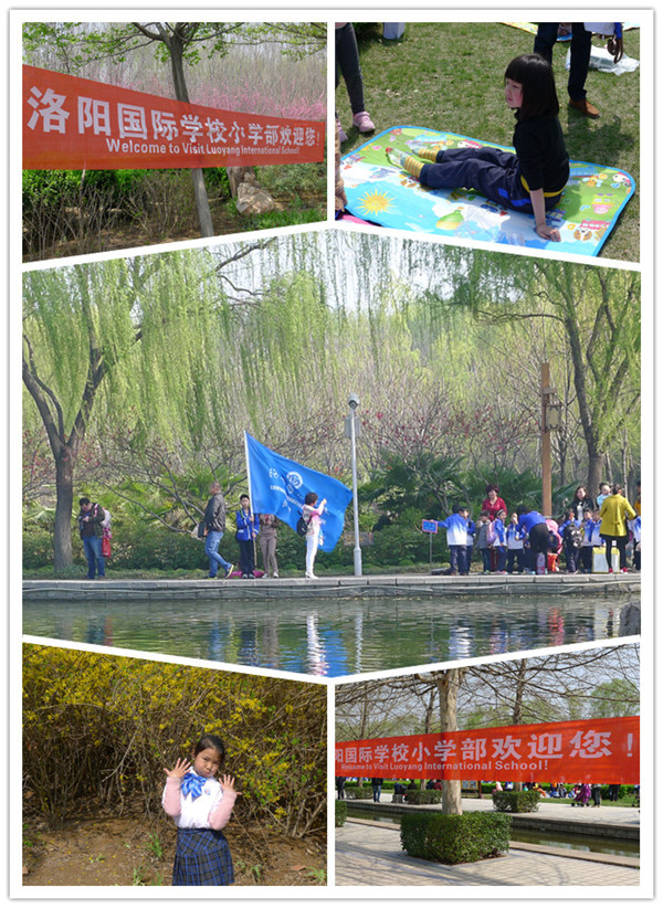 点击浏览下一页