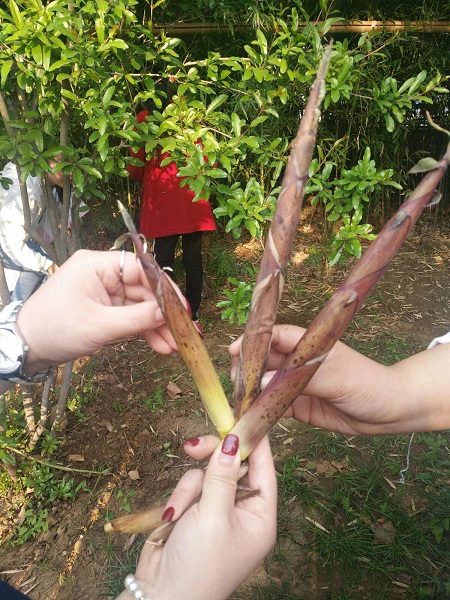点击浏览下一页