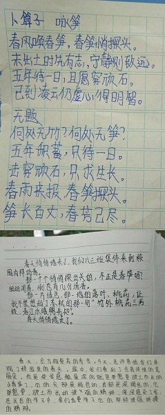 点击浏览下一页