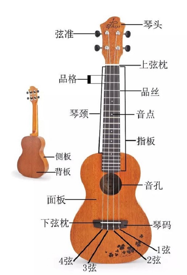 玩转西方乐器——国际部ukulele eca课程
