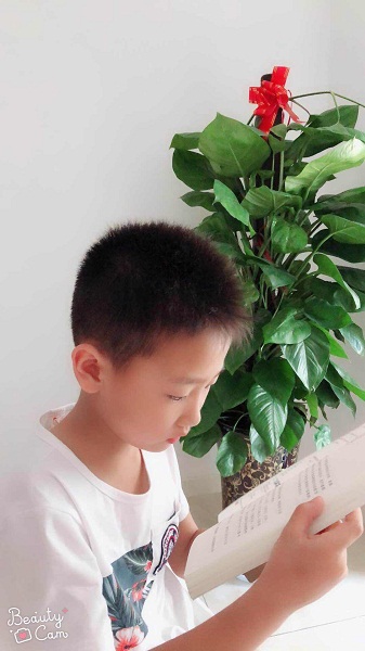 点击浏览下一页