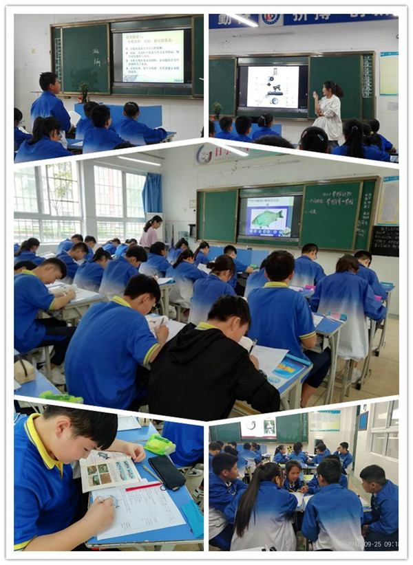 点击浏览下一页