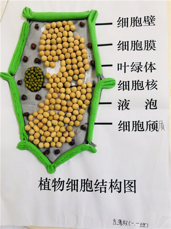 点击浏览下一页