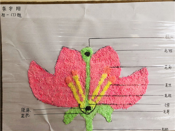 点击浏览下一页
