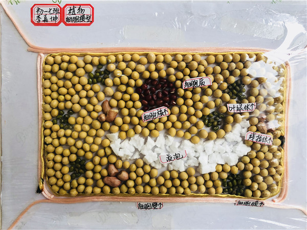 点击浏览下一页