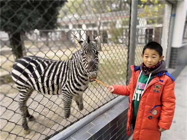 点击浏览下一页